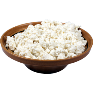 Cottage cheese PNG-48656